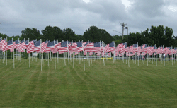Flags-2013