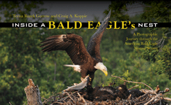 Inside_a_Bald_Eagle's_Nest_Front_Cover